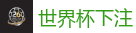 世界杯下注_2026世界杯 (FIFA WorldCUP)中国体育彩票指定平台